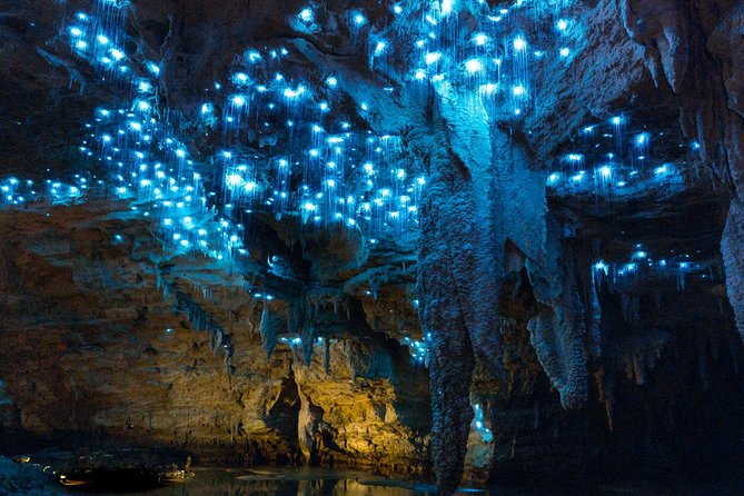 Auckland to Waitomo Caves and Hobbiton Movie Set Private Tour - Waitomo Glowworm Caves by underground boat