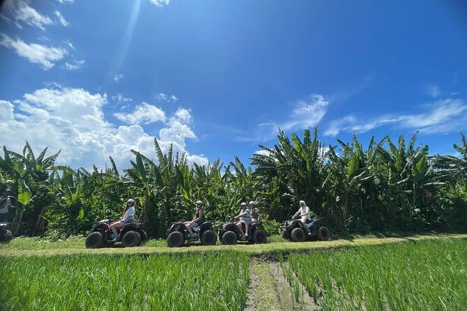 Bali ATV Ride On the Beach, Rice Field and Village Tour 2 Hour - Why Pasut Beach is the highlight