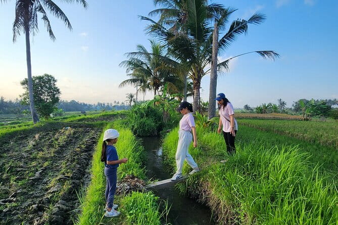 Bali ATV Ride On the Beach, Rice Field and Village Tour 2 Hour - What is included, and why it affects the value