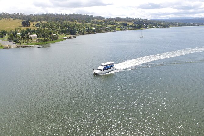Batman Bridge 4 Hour Luncheon Cruise including sailing into the Cataract Gorge - Cruising toward Batman Bridge