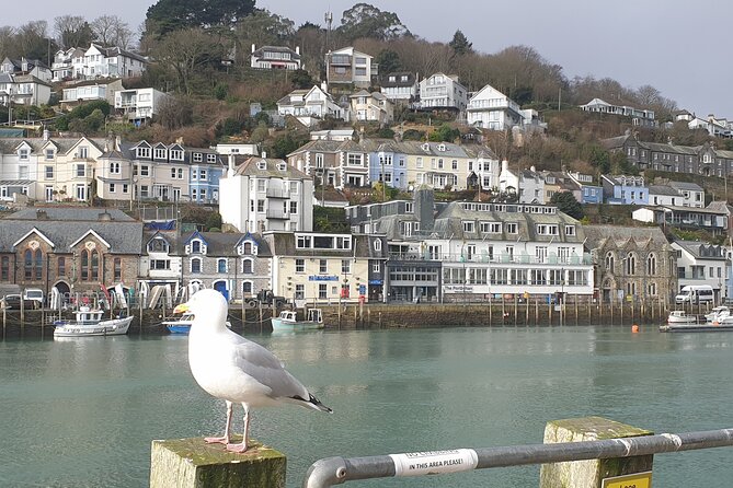 Beyond Paradise TV Show Locations Tour - The fish market and the everyday side of filming