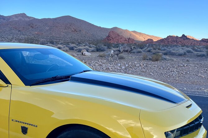 Bumblebee Camaro Tour: Transformers Movie Locations - Elephant Rock gives you the first big photo stop