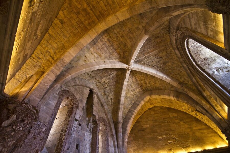 Castel del Monte private tour: The Crown of Italy - Who will enjoy this private visit most