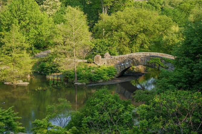 Central Park Movie Locations Pedicab Tour - Gapstow Bridge and the Home Alone 2 connection