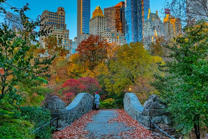 Central Park Pedicab Tours - History and Movie Locations - Price, timing, and who gets the best value