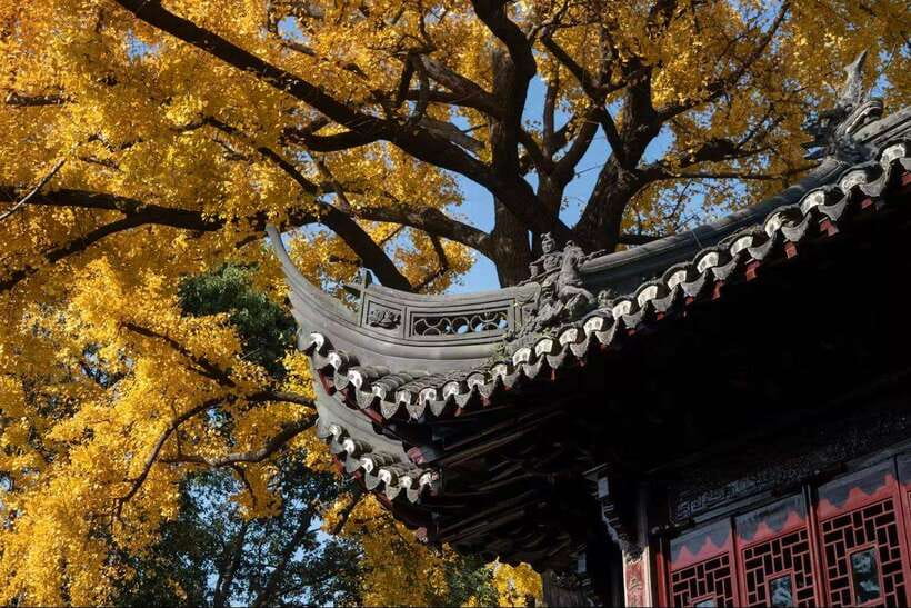 China Hollywood and Yiwu-the offline Temu commercial heaven - Evening train to Hengdian