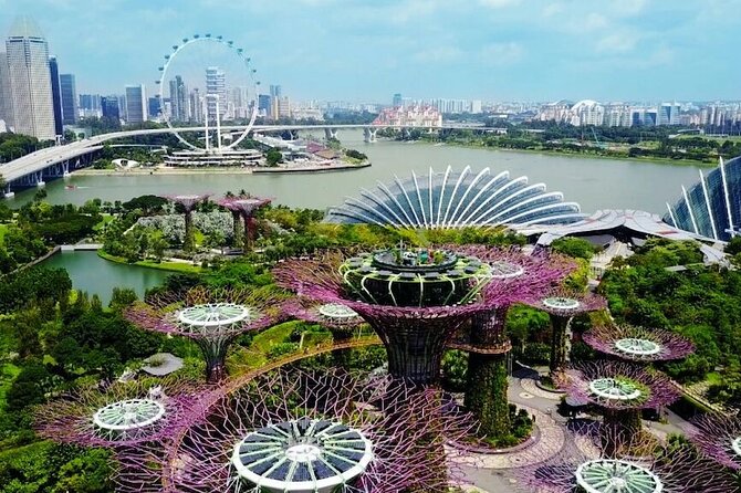 City Tour+Gardens by the Bay(FlowerDome&JurassicWorld) Transfers - Is $70.94 good value?