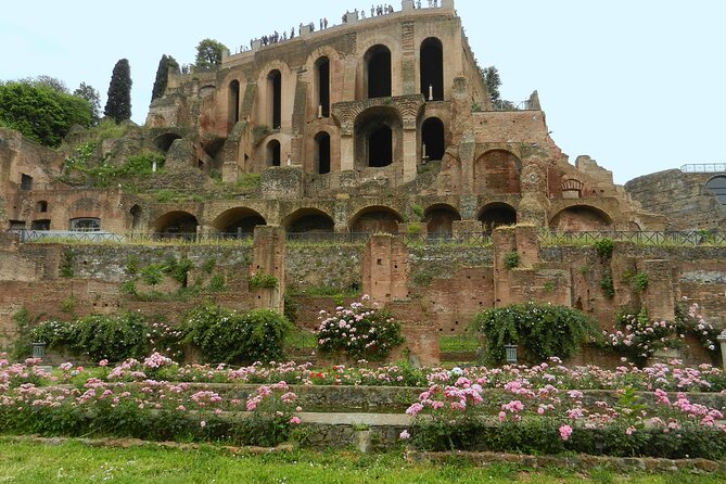 Colosseum Gladiator's Arena and Ancient Rome Tour - What the guides add to the experience