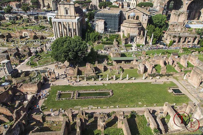 Colosseum with Gladiator Arena Floor, Forum & Palatine Hill Tour - Three hours, a small group, and a $139 price