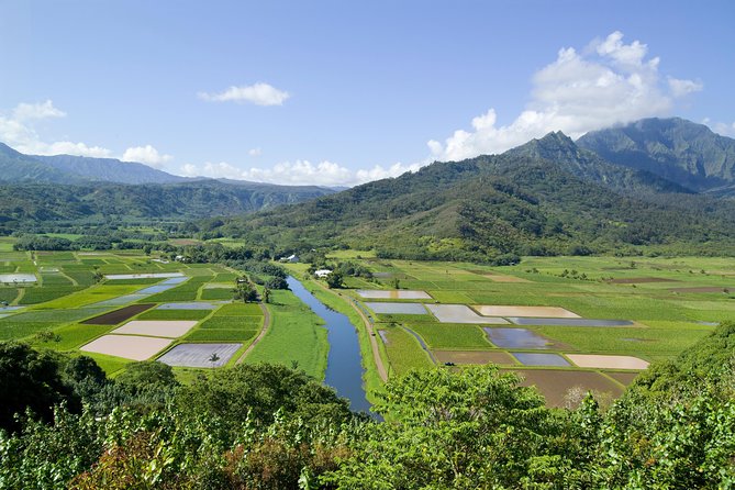 Cruise Ship Shore Excursion: Kauai Movie Sites Tour - From Nawiliwili Pier to Wailua Falls
