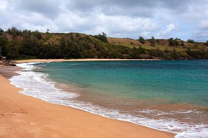Cruise Ship Shore Excursion: Kauai Movie Sites Tour - The Film Clips Are the Tour’s Best Tool