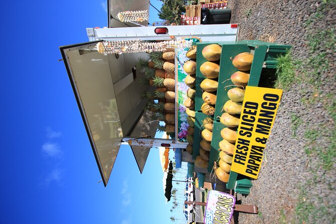 Cruise Ship Shore Excursion: Kauai Movie Sites Tour - Cruise Timing and Booking Details That Matter