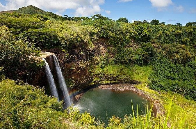 Cruise Ship Shore Excursion: Kauai Movie Sites Tour - Who Will Enjoy This Kauai Movie Tour?