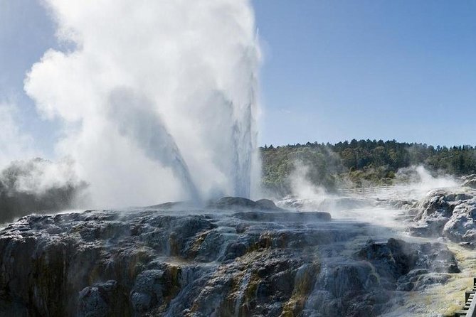 Day Tour Hobbiton + Rotorua from Auckland in Luxury Minibus - Why this Auckland day trip works