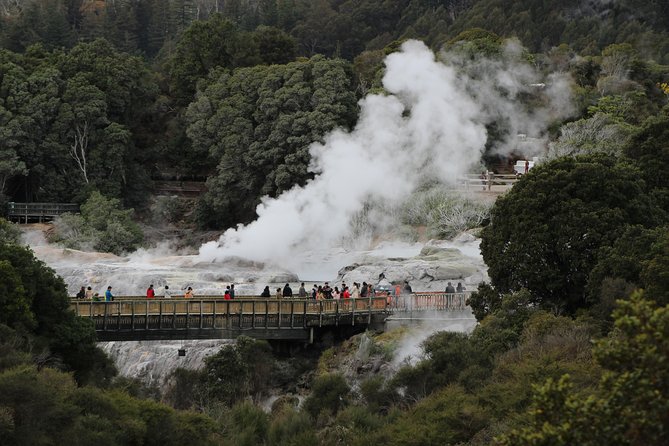 Day Tour Hobbiton + Rotorua from Auckland in Luxury Minibus - Lunch and Māori culture at Te Puia