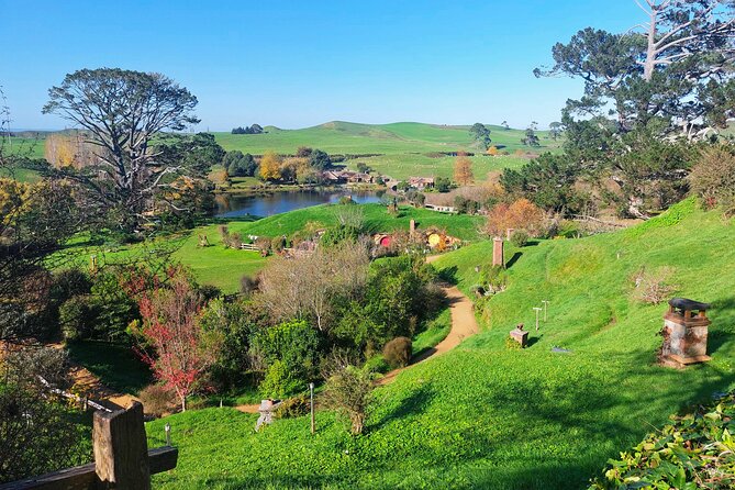 Day Tour Hobbiton + Rotorua from Auckland in Luxury Minibus - How the guides shape the day