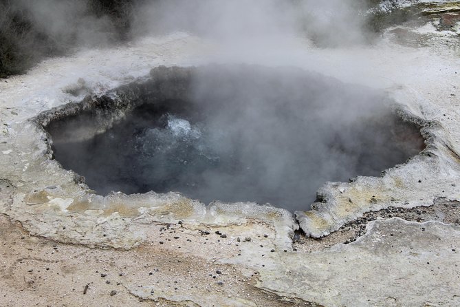 Day Tour Hobbiton + Rotorua from Auckland in Luxury Minibus - Is the $312.77 price fair?