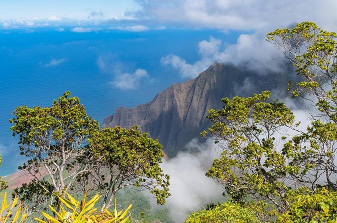 Day Trip from Oahu to Kauai: Highlights & Movie Sites - Hanalei Valley Lookout in five minutes