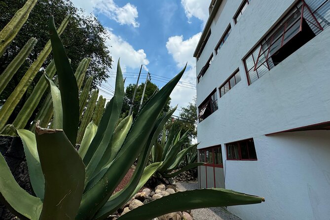 Diego Rivera Frida Kahlo Studio House Tour - What a 90-minute visit feels like
