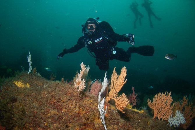 Double dive in the Algarve. Don't stop on the beach! - Key points at a glance