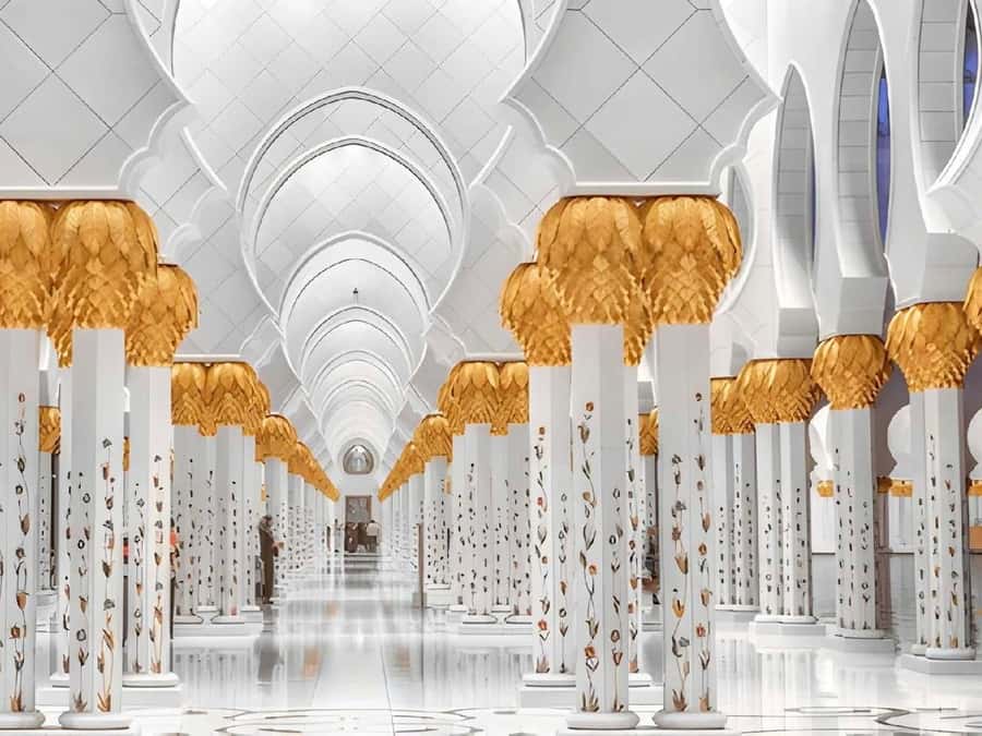 Dubai: Sheikh Zayed Mosque & Warner Bros w/ Transfer - Is $147 a fair price?