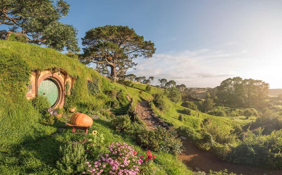 Ex Auckland: Hobbiton & Rotorua Māori Village w Hangi Lunch - Key points at a glance
