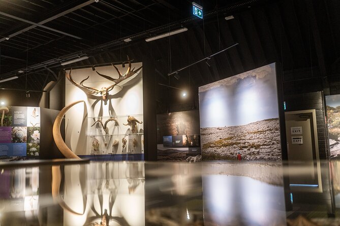 Explore The Burren Exhibition Film and Digital Story Trails - Why the Burren makes more sense after this visit