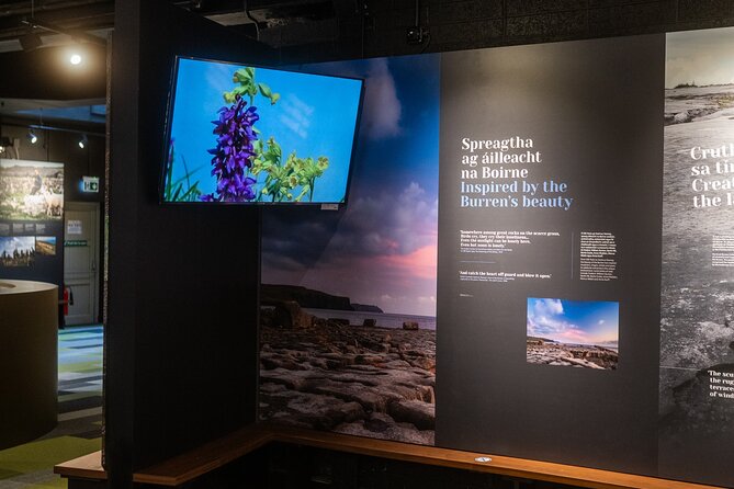Explore The Burren Exhibition Film and Digital Story Trails - The Burren Exhibition, geology and rare plants