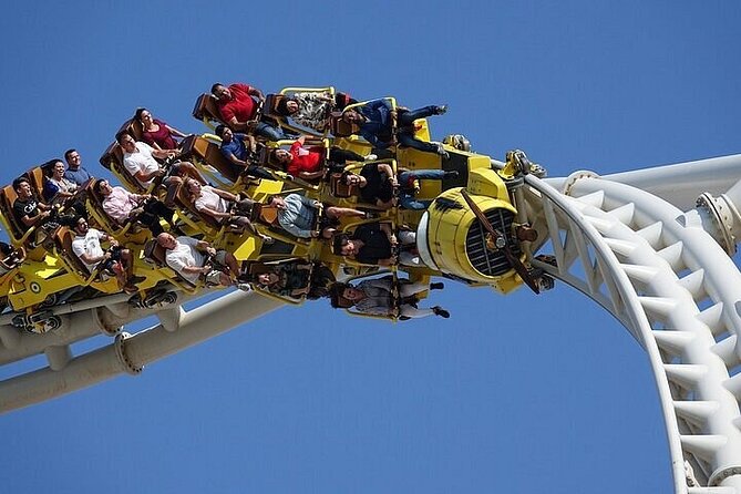 Ferrari World or warner bros Ticket with sharing Transfer - Sheikh Grand Mosque and Abu Dhabi Museum