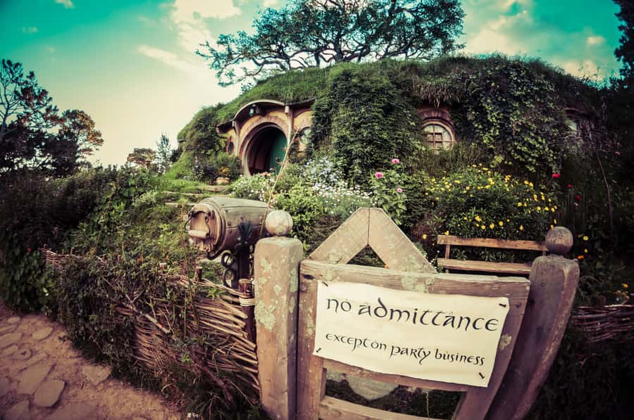 From Auckland: Hobbiton Afternoon Tour - Key points at a glance