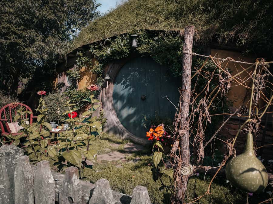From Auckland: Hobbiton Afternoon Tour - Why the 11am start makes sense