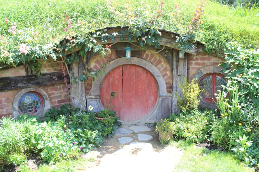 From Auckland: Hobbiton Afternoon Tour - The minibus setup and group size