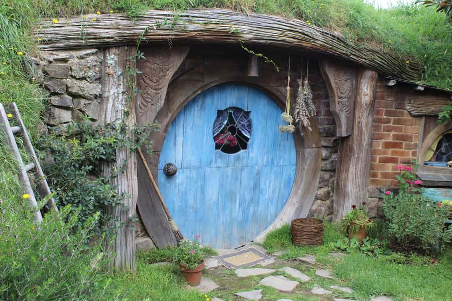 From Auckland: Hobbiton Afternoon Tour - Mobility, walking, and weather