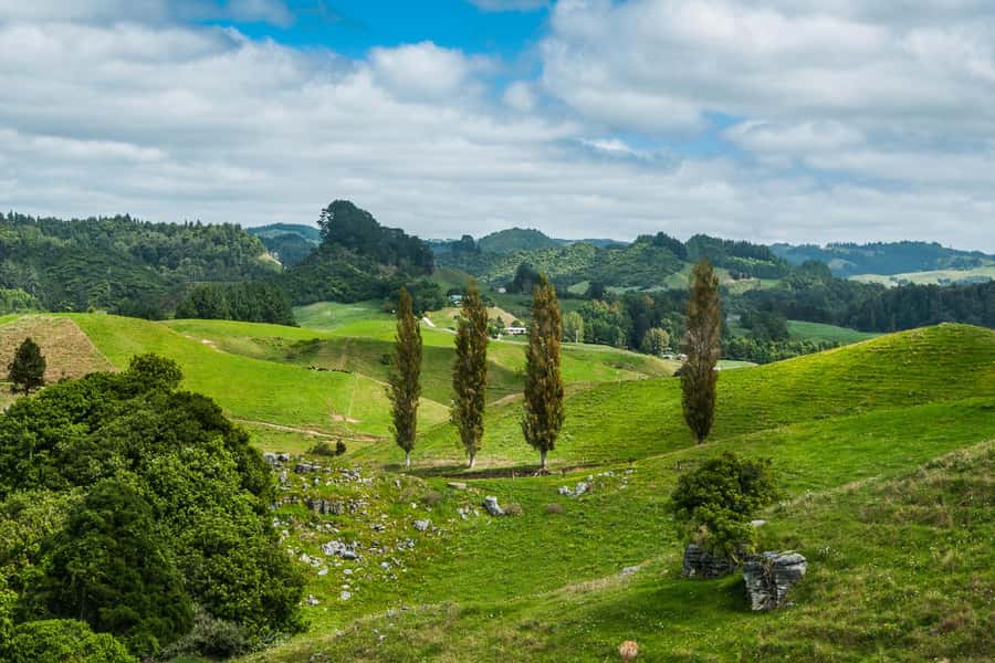 From Auckland: Hobbiton and Waitomo Day Tour with Lunch - Key points before you book