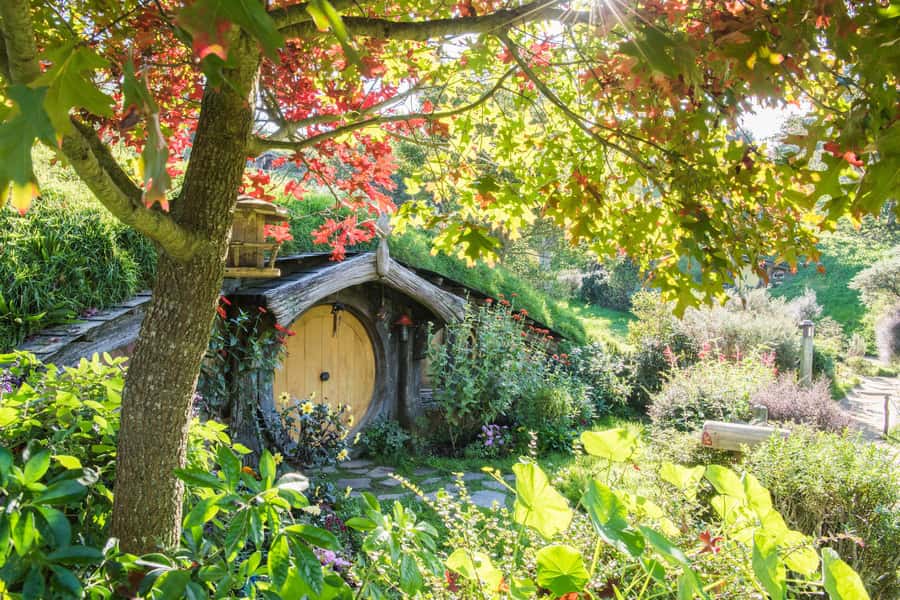 From Auckland: Hobbiton and Waitomo Day Tour with Lunch - The early pickup and journey through Waikato
