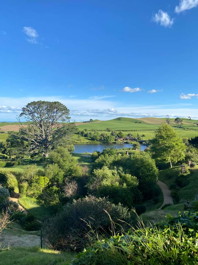 From Auckland: Hobbiton & Hamilton Gardens Small Group Tour - Who should book this experience?