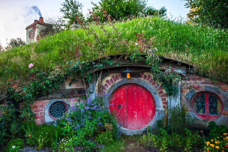 From Auckland: Hobbiton Movie Set Full-Day Small-Group Trip - Who will enjoy this trip most?