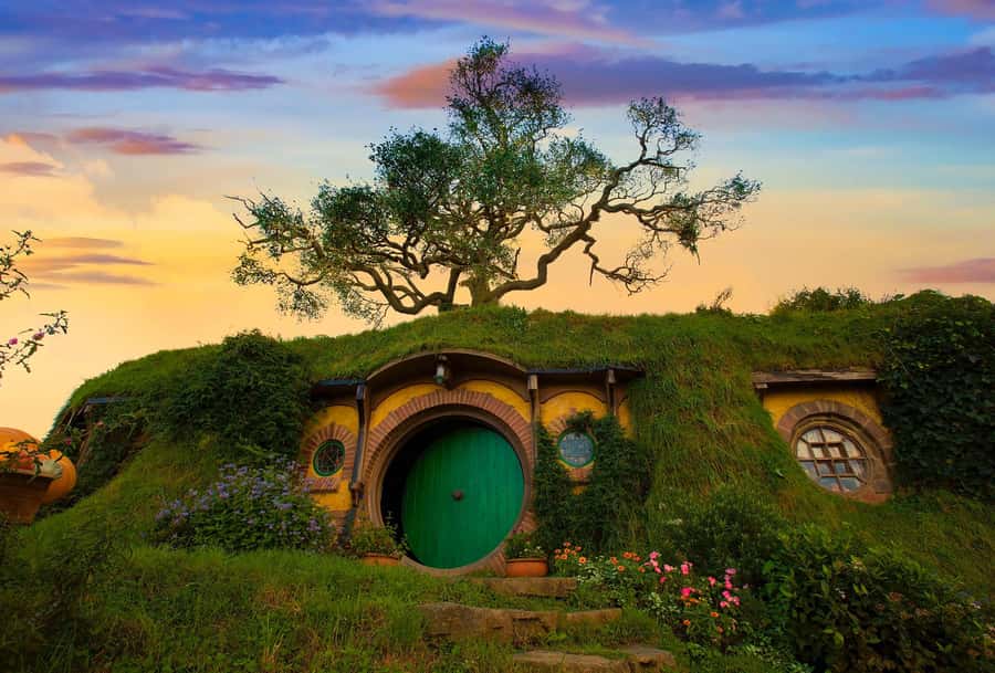 From Auckland: Hobbiton Movie Set Private Tour (Flexible) - Auckland to Hobbiton: a long but scenic road day