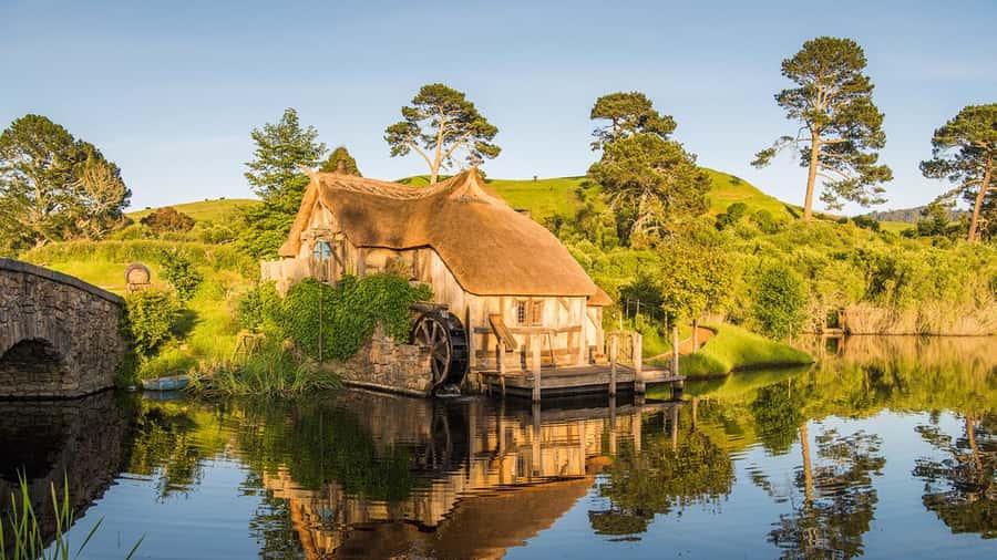 From Auckland: Hobbiton Movie Set Small Group Tour - The return drive through Waikato