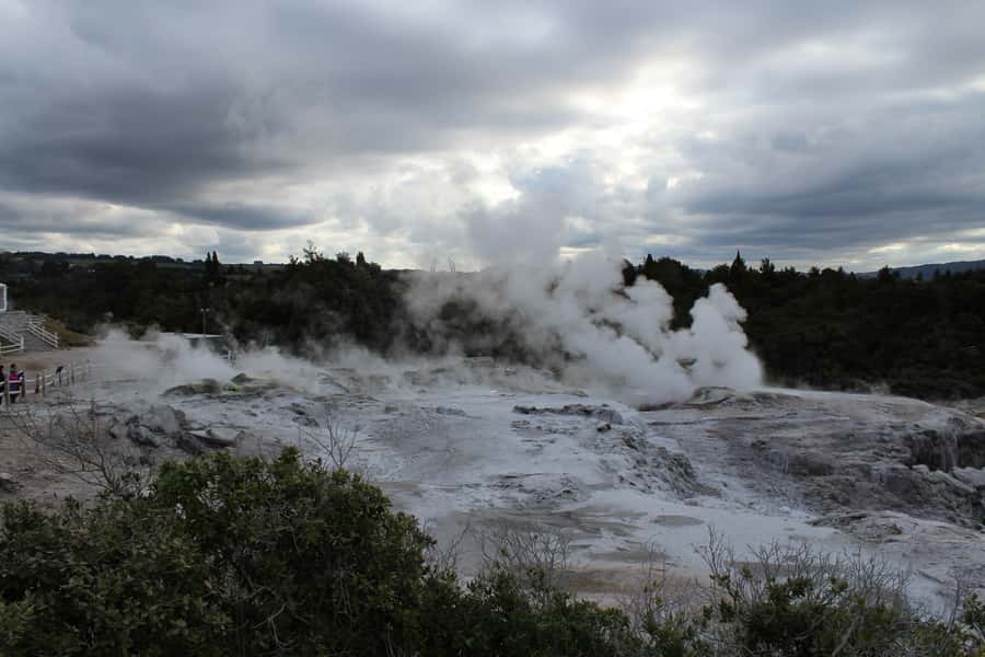 From Auckland: Hobbiton & Rotorua Tour with Lunch at Te Puia - Should you book it?