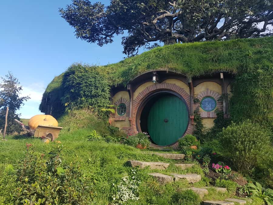 From Auckland: Hobbiton & Rotorua Tour with Lunch at Te Puia - Why this Auckland day trip works