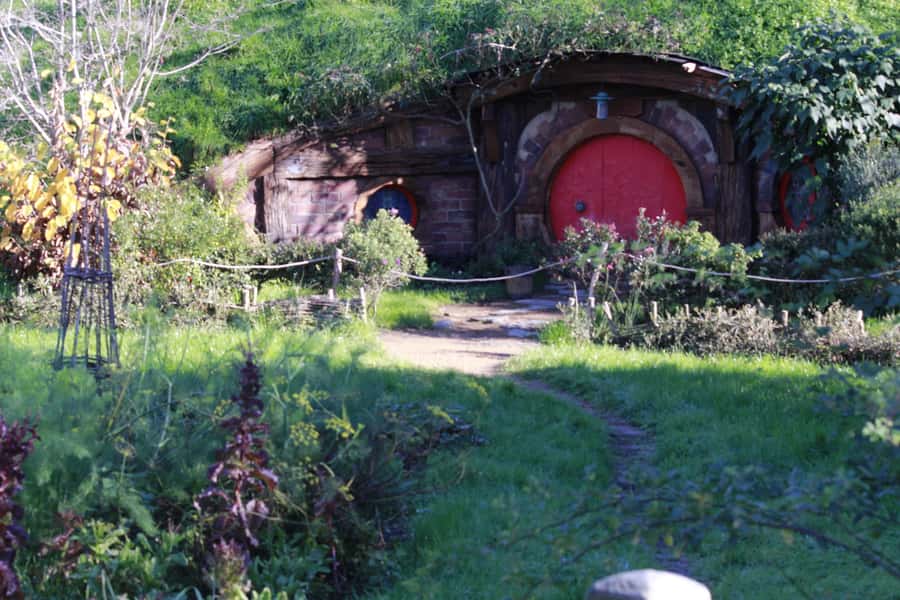 From Auckland: Hobbiton & Rotorua Tour with Lunch at Te Puia - Lunch and the geothermal world of Te Puia