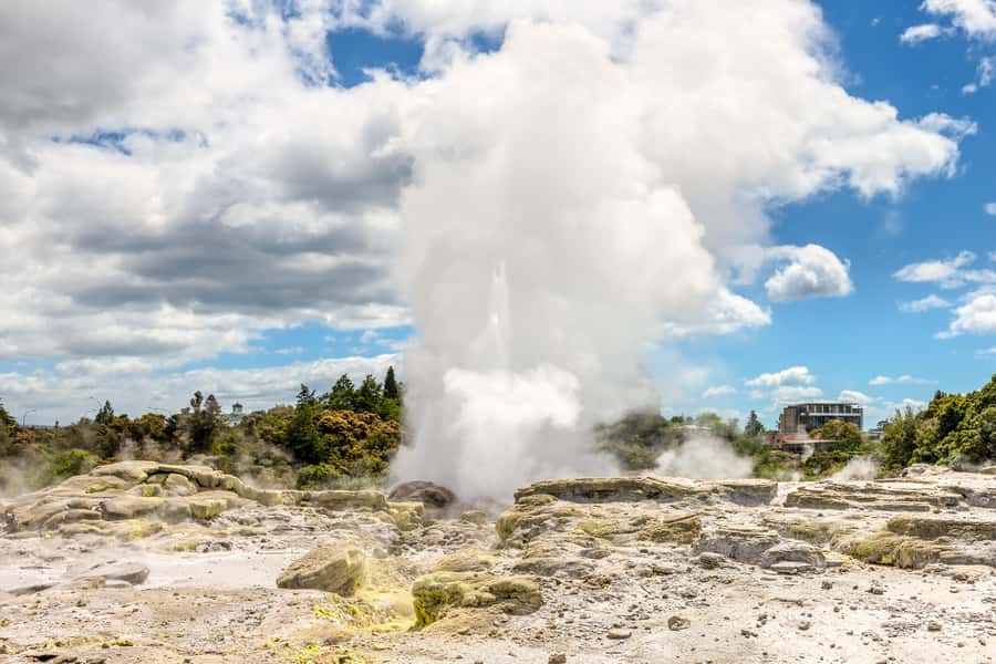 From Auckland: Hobbiton & Rotorua Tour with Lunch at Te Puia - Why the Māori cultural element matters