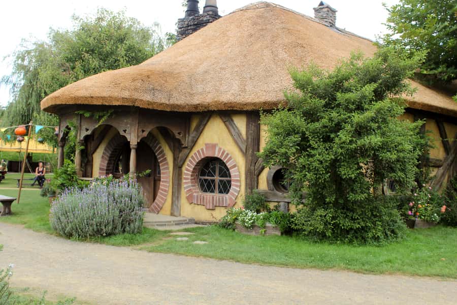 From Auckland: Hobbiton & Rotorua Tour with Lunch at Te Puia - Comfort, timing, and what to pack