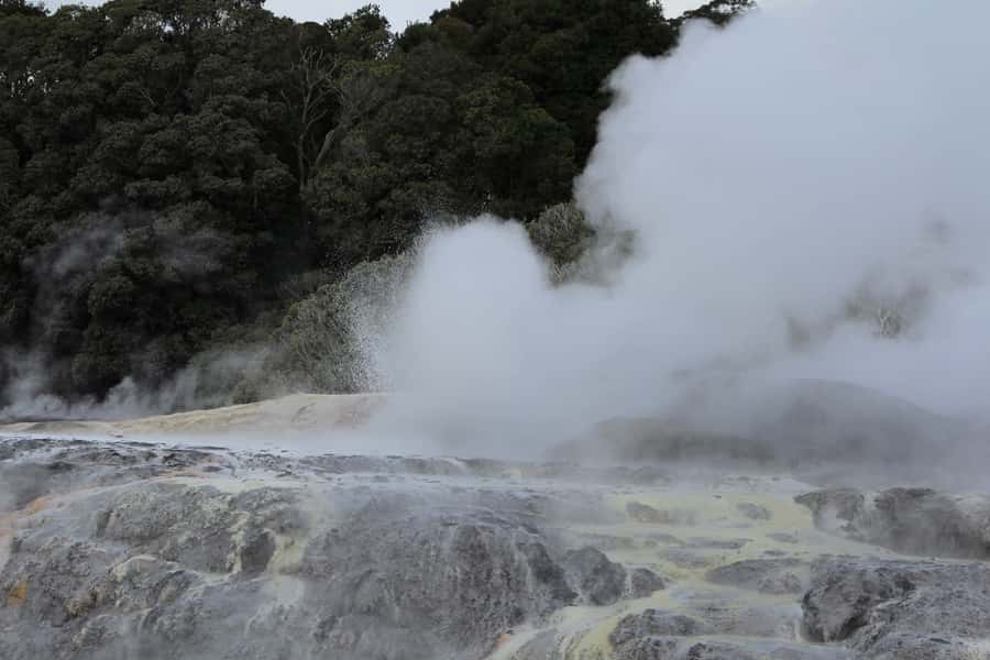 From Auckland: Hobbiton & Rotorua Tour with Lunch at Te Puia - Who should book this tour?