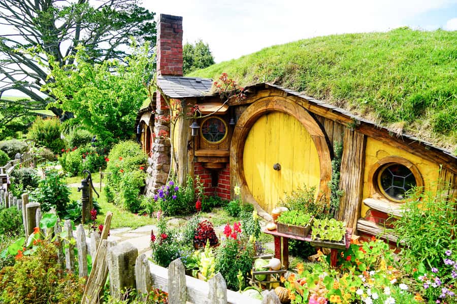 From Auckland: Hobbiton & Rotorua Tour with Lunch at Te Puia - The road south from Auckland