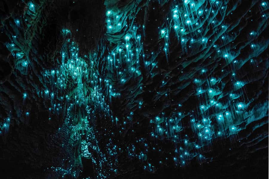 From Auckland: Hobbiton & Waitomo Caves Day Trip with Lunch - Below the lights at Waitomo Glowworm Caves