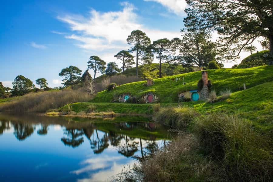 From Auckland: Hobbiton & Waitomo Caves Day Trip with Lunch - The ride south from Auckland