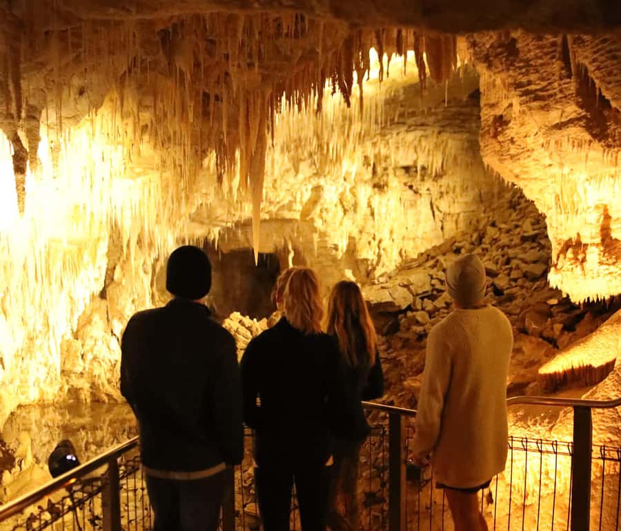 From Auckland: Hobbiton & Waitomo Caves Full-Day Trip - Should you book the Hobbiton and Waitomo day trip?