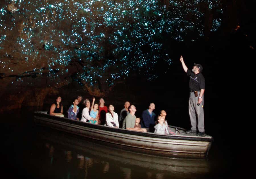 From Auckland: Hobbiton, Waitomo Caves & Kiwi House Tour - The return to Auckland